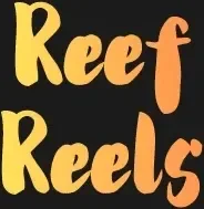 Reef Reels Casino